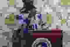 WhatsApp-Image-2023-12-20-at-07.34.50-1